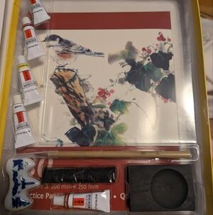 NIB Chinese Brush Painting Kit. Spice Box The Art Of Chinese Brush  Painting